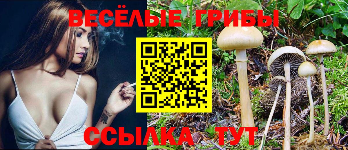 Галлюциногенные грибы Cubensis Лесозаводск