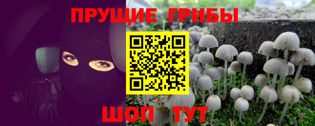 Лесозаводск  Псилоцибиновые грибы GOLDEN TEACHER  Вход с VPN 